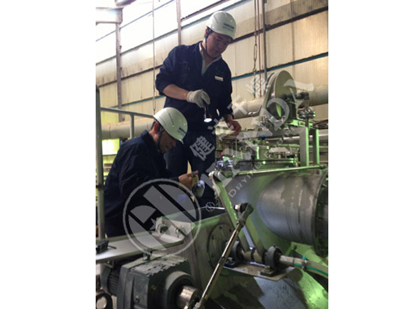 TGX系列雙滾筒刮板干燥機